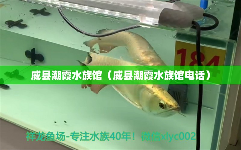 威县潮霞水族馆（威县潮霞水族馆电话）