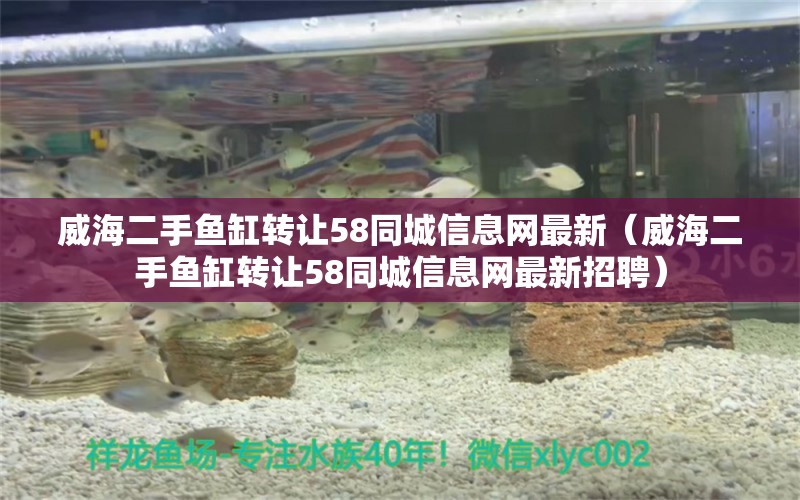 威海二手鱼缸转让58同城信息网最新（威海二手鱼缸转让58同城信息网最新招聘） 观赏鱼市场（混养鱼）