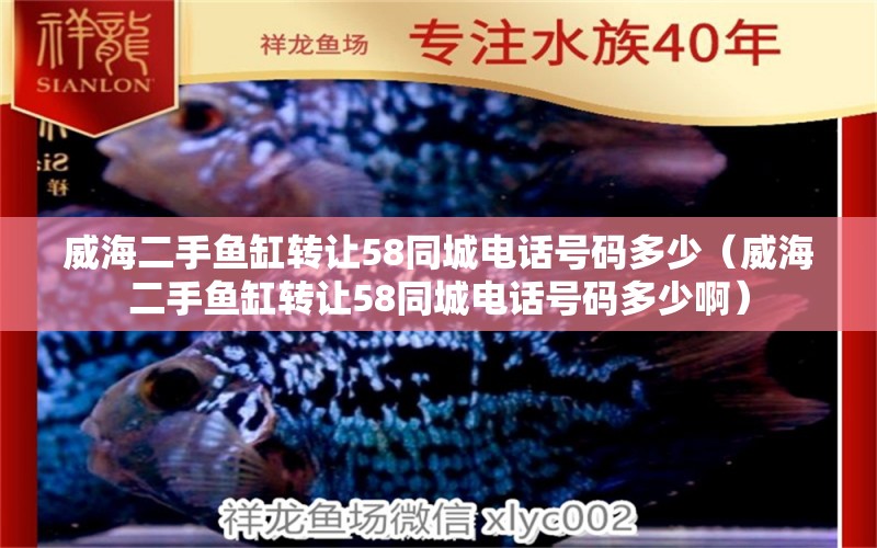 威海二手鱼缸转让58同城电话号码多少（威海二手鱼缸转让58同城电话号码多少啊）