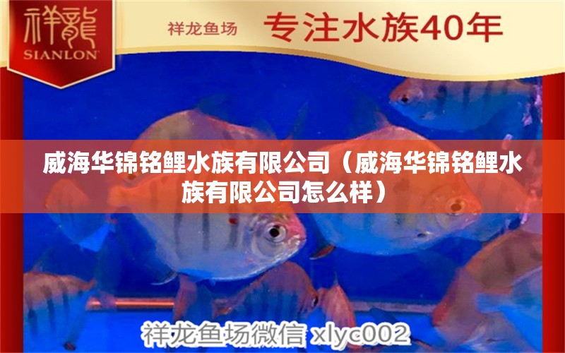 威海华锦铭鲤水族有限公司（威海华锦铭鲤水族有限公司怎么样）