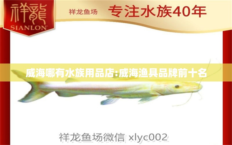 威海哪有水族用品店:威海渔具品牌前十名