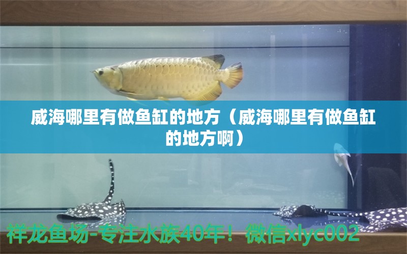 威海哪里有做鱼缸的地方（威海哪里有做鱼缸的地方啊） 其他品牌鱼缸