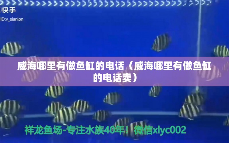 威海哪里有做鱼缸的电话（威海哪里有做鱼缸的电话卖）