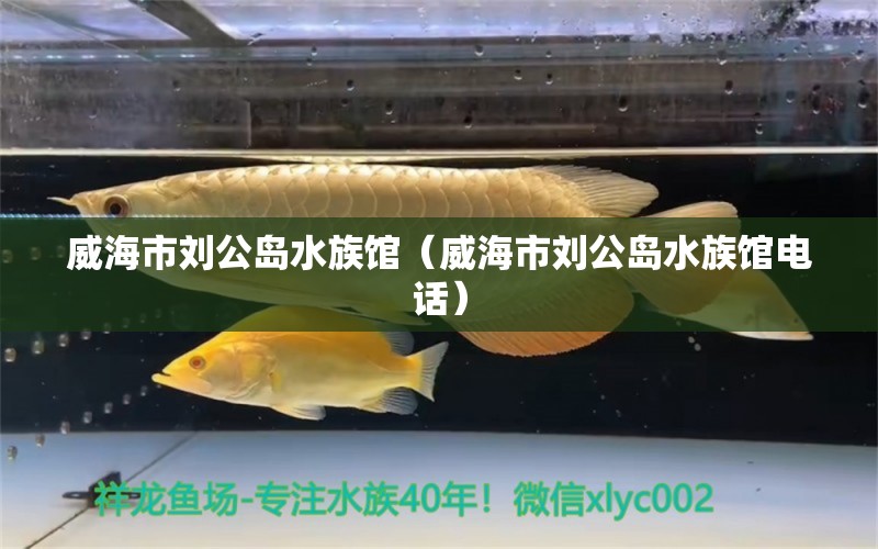 威海市刘公岛水族馆（威海市刘公岛水族馆电话）