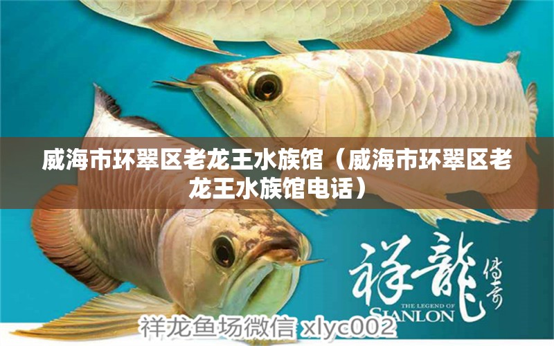 威海市环翠区老龙王水族馆（威海市环翠区老龙王水族馆电话）