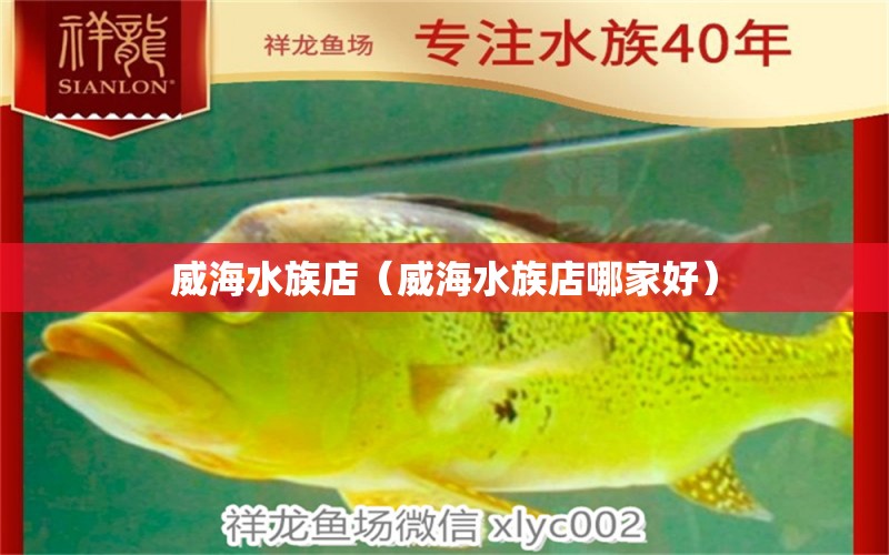 威海水族店（威海水族店哪家好） 观赏鱼市场