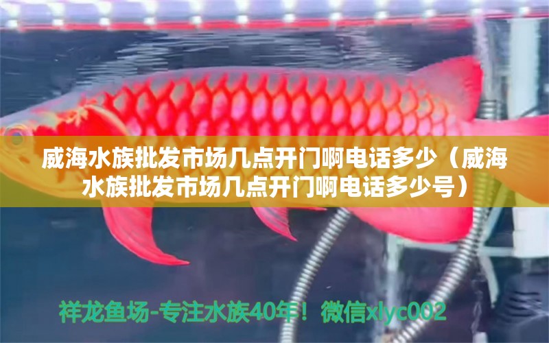 威海水族批发市场几点开门啊电话多少（威海水族批发市场几点开门啊电话多少号） 观赏鱼水族批发市场