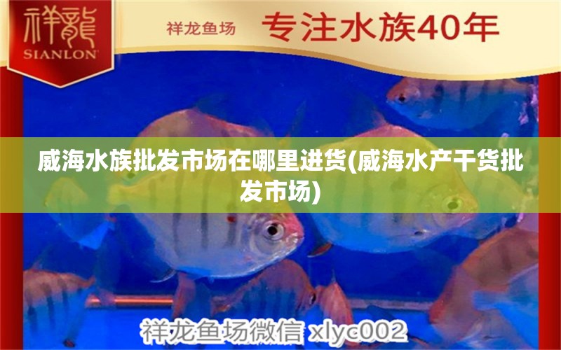 威海水族批发市场在哪里进货(威海水产干货批发市场)