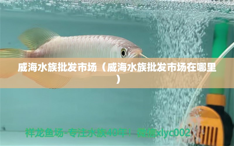 威海水族批发市场（威海水族批发市场在哪里）