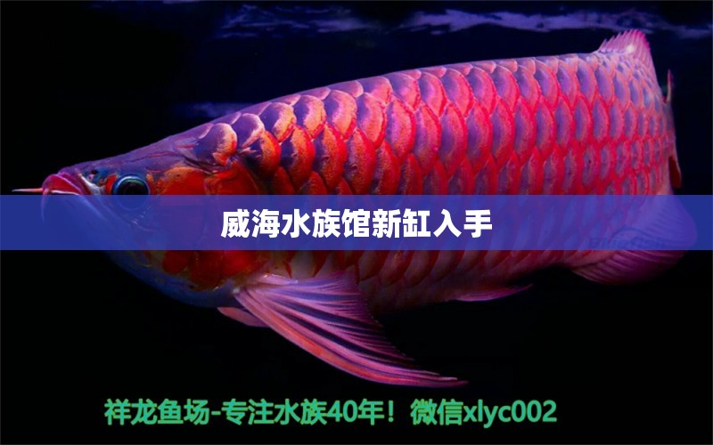 威海水族馆新缸入手