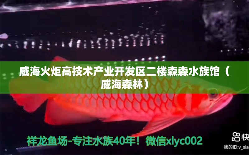 威海火炬高技术产业开发区二楼森森水族馆（威海森林）