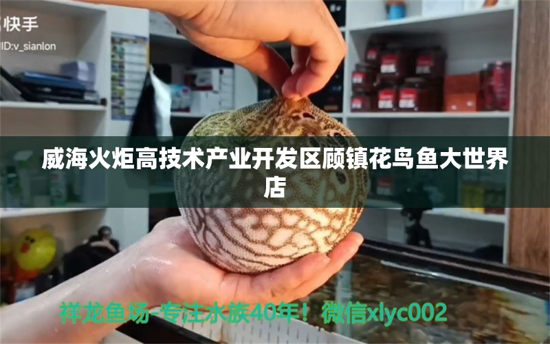 威海火炬高技术产业开发区顾镇花鸟鱼大世界店 全国水族馆企业名录