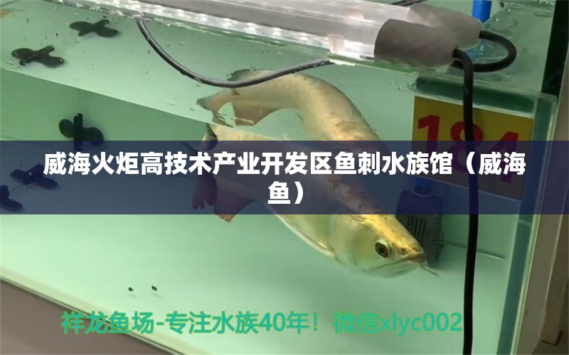 威海火炬高技术产业开发区鱼刺水族馆（威海鱼） 全国水族馆企业名录