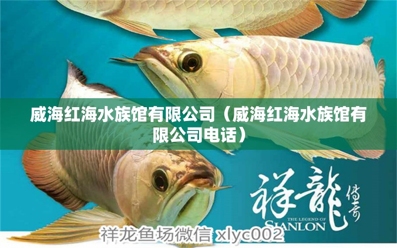 威海红海水族馆有限公司（威海红海水族馆有限公司电话） 全国水族馆企业名录