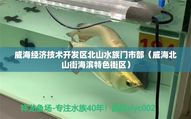 威海经济技术开发区北山水族门市部（威海北山街海滨特色街区） 全国水族馆企业名录