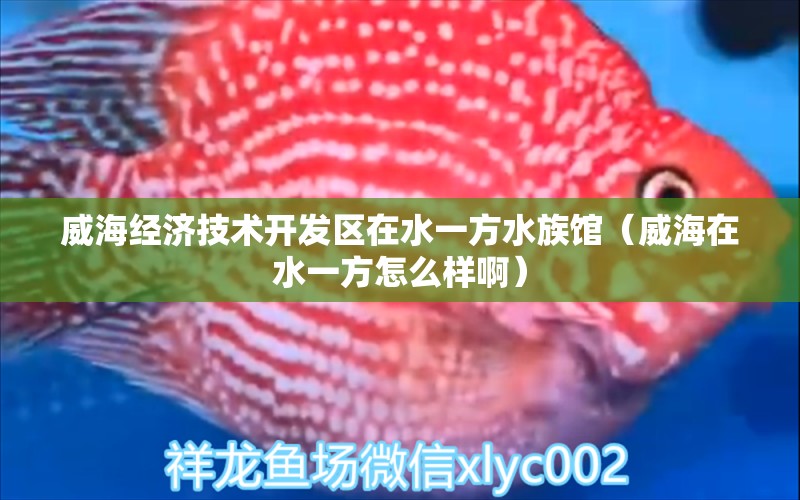 威海经济技术开发区在水一方水族馆（威海在水一方怎么样啊）