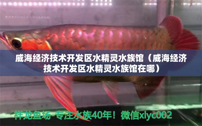 威海经济技术开发区水精灵水族馆（威海经济技术开发区水精灵水族馆在哪）