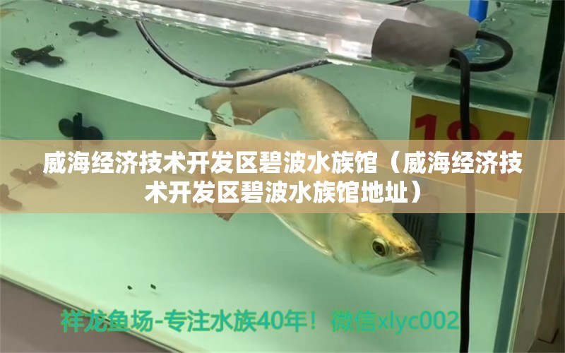 威海经济技术开发区碧波水族馆（威海经济技术开发区碧波水族馆地址） 全国水族馆企业名录