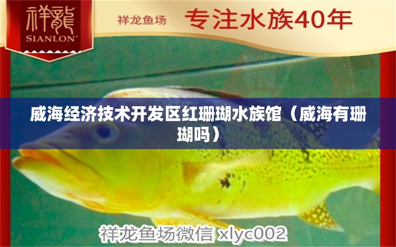 威海经济技术开发区红珊瑚水族馆（威海有珊瑚吗）