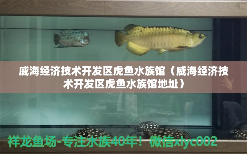 威海经济技术开发区虎鱼水族馆（威海经济技术开发区虎鱼水族馆地址） 虎鱼百科