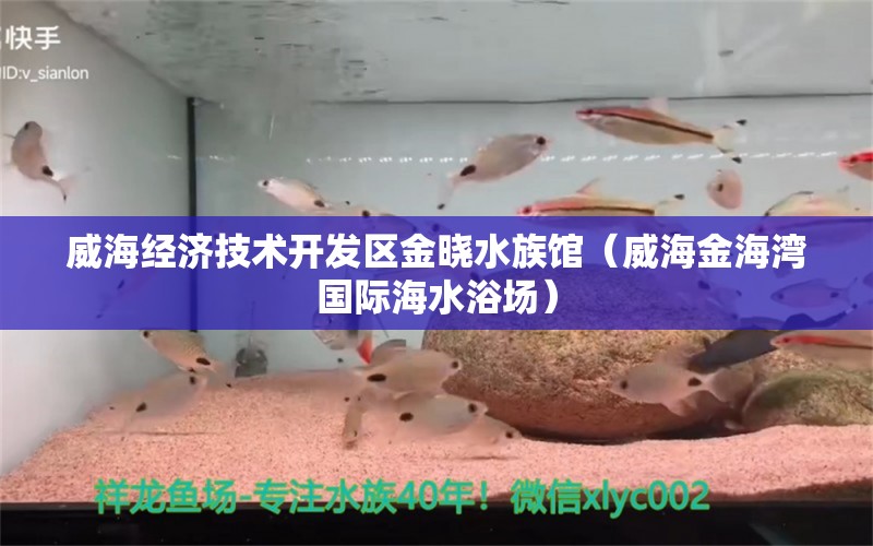 威海经济技术开发区金晓水族馆（威海金海湾国际海水浴场） 全国水族馆企业名录