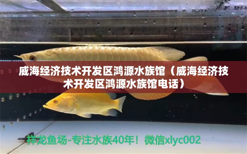 威海经济技术开发区鸿源水族馆（威海经济技术开发区鸿源水族馆电话）