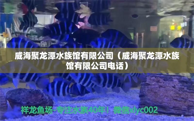 威海聚龙潭水族馆有限公司（威海聚龙潭水族馆有限公司电话）