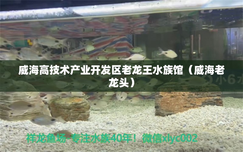 威海高技术产业开发区老龙王水族馆（威海老龙头）