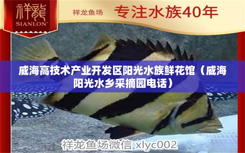 威海高技术产业开发区阳光水族鲜花馆（威海阳光水乡采摘园电话）