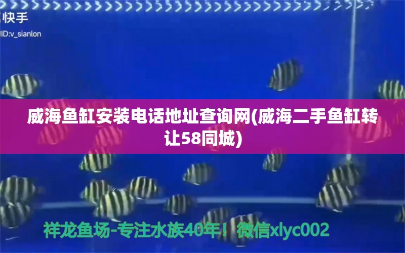 威海鱼缸安装电话地址查询网(威海二手鱼缸转让58同城) 祥龙金禾金龙鱼