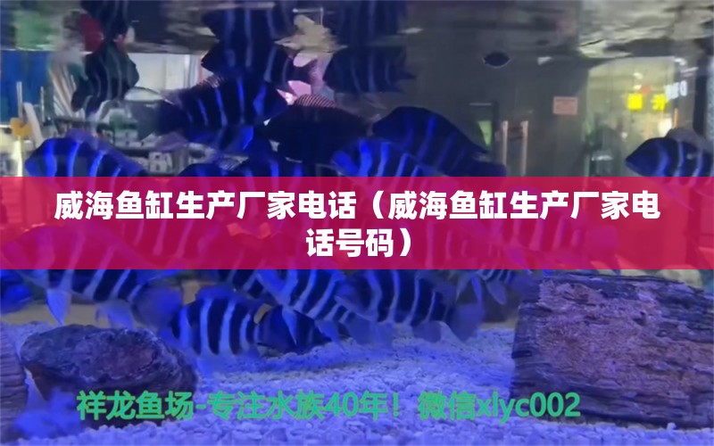 威海鱼缸生产厂家电话（威海鱼缸生产厂家电话号码） 其他品牌鱼缸