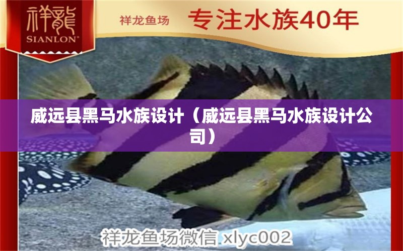 威远县黑马水族设计（威远县黑马水族设计公司） 全国水族馆企业名录