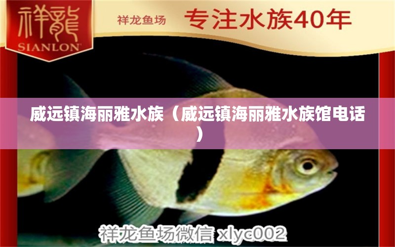 威远镇海丽雅水族（威远镇海丽雅水族馆电话）