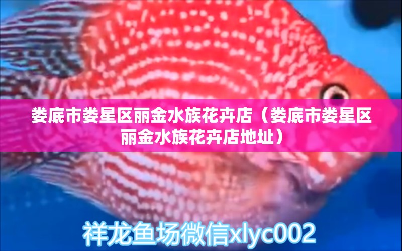 娄底市娄星区丽金水族花卉店（娄底市娄星区丽金水族花卉店地址）