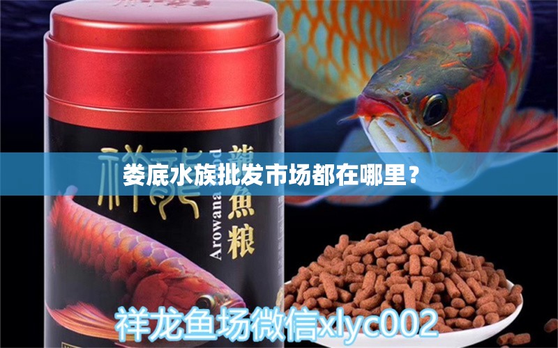 娄底水族批发市场都在哪里？ 