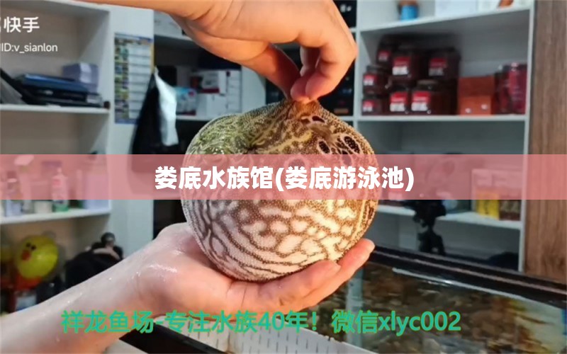 娄底水族馆(娄底游泳池) 除藻剂