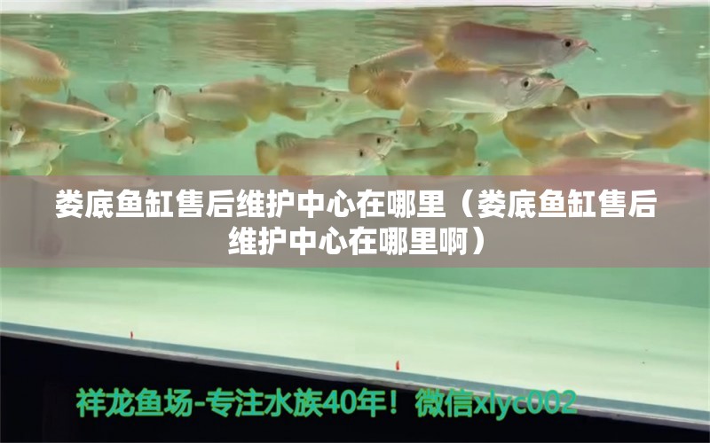 娄底鱼缸售后维护中心在哪里（娄底鱼缸售后维护中心在哪里啊）