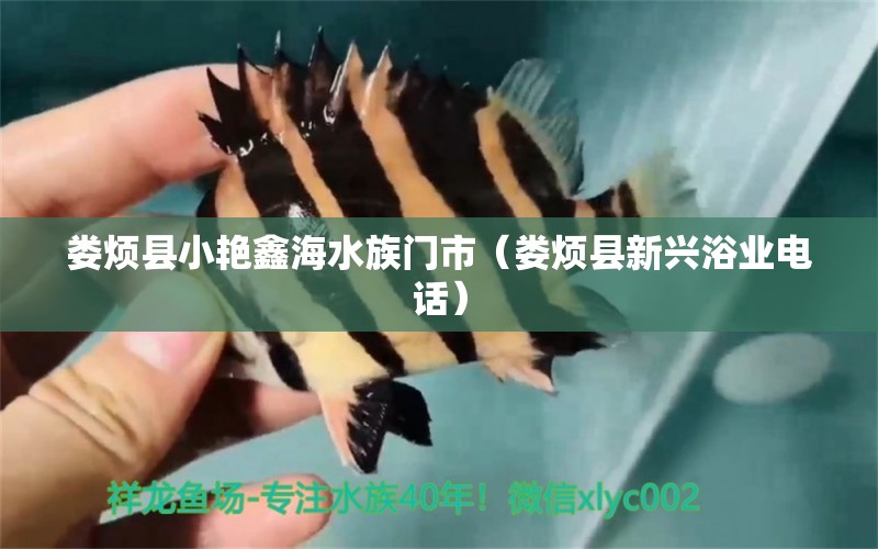 娄烦县小艳鑫海水族门市（娄烦县新兴浴业电话） 全国水族馆企业名录