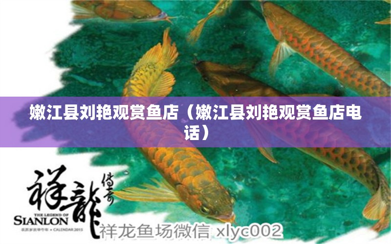 嫩江县刘艳观赏鱼店（嫩江县刘艳观赏鱼店电话） 全国水族馆企业名录