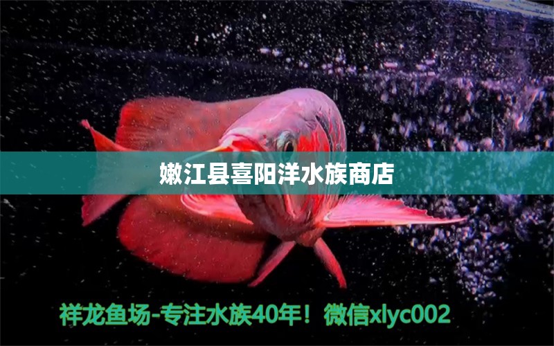 嫩江县喜阳洋水族商店