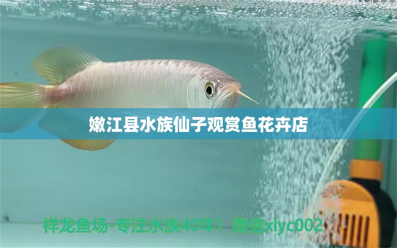 嫩江县水族仙子观赏鱼花卉店