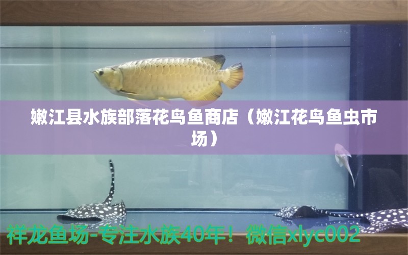 嫩江县水族部落花鸟鱼商店（嫩江花鸟鱼虫市场） 全国水族馆企业名录