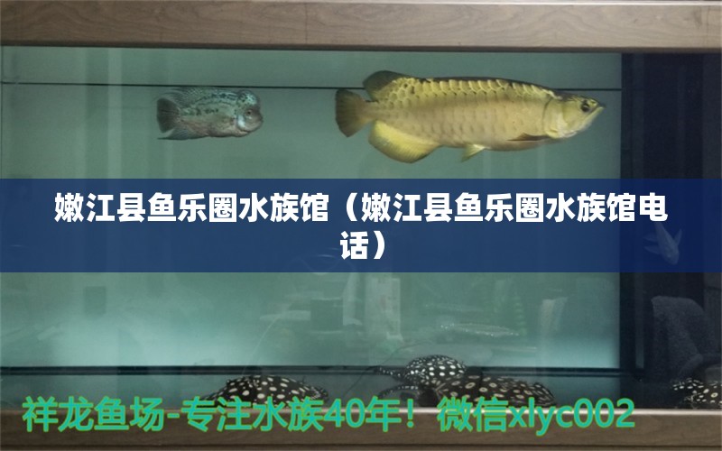 嫩江县鱼乐圈水族馆（嫩江县鱼乐圈水族馆电话）