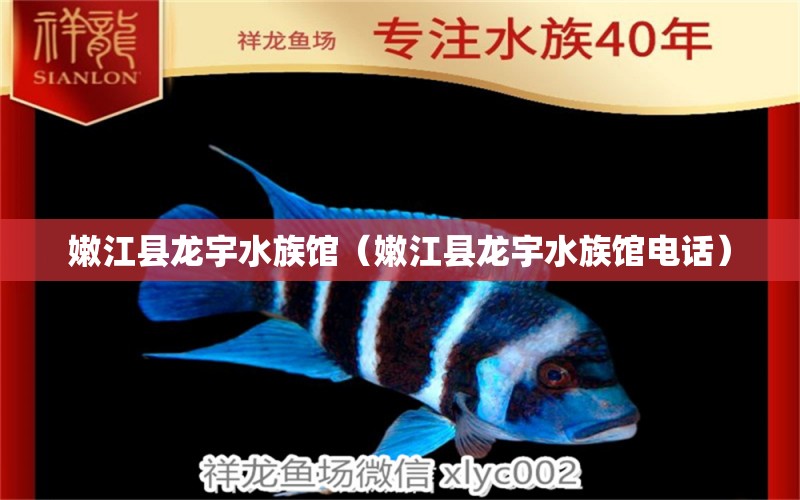 嫩江县龙宇水族馆（嫩江县龙宇水族馆电话）