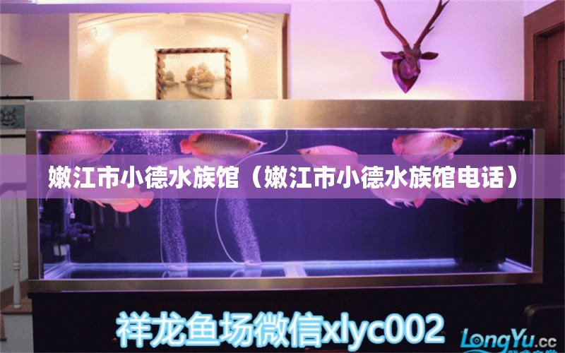 嫩江市小德水族馆（嫩江市小德水族馆电话）