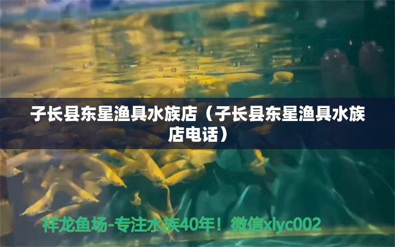 子长县东星渔具水族店（子长县东星渔具水族店电话）