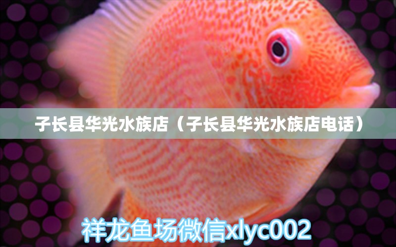 子长县华光水族店（子长县华光水族店电话）