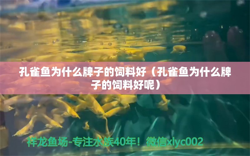 孔雀鱼为什么牌子的饲料好（孔雀鱼为什么牌子的饲料好呢）