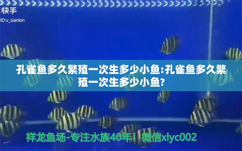 孔雀鱼多久繁殖一次生多少小鱼:孔雀鱼多久繁殖一次生多少小鱼?