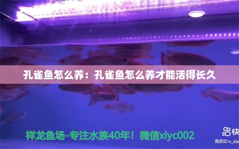 孔雀鱼怎么养：孔雀鱼怎么养才能活得长久 帝王三间鱼